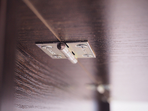 СП-11.1 Венге